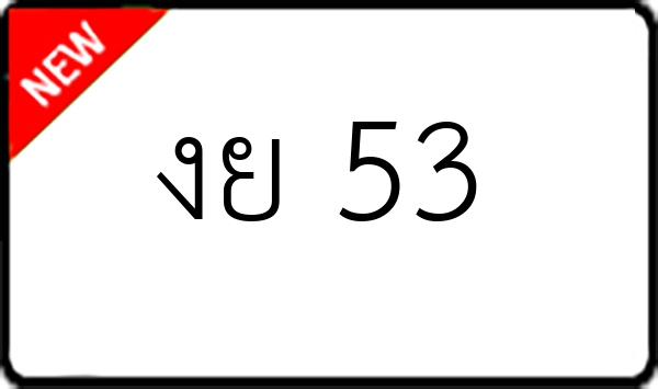 งย 53